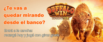 Ganá grande en 1bet casino